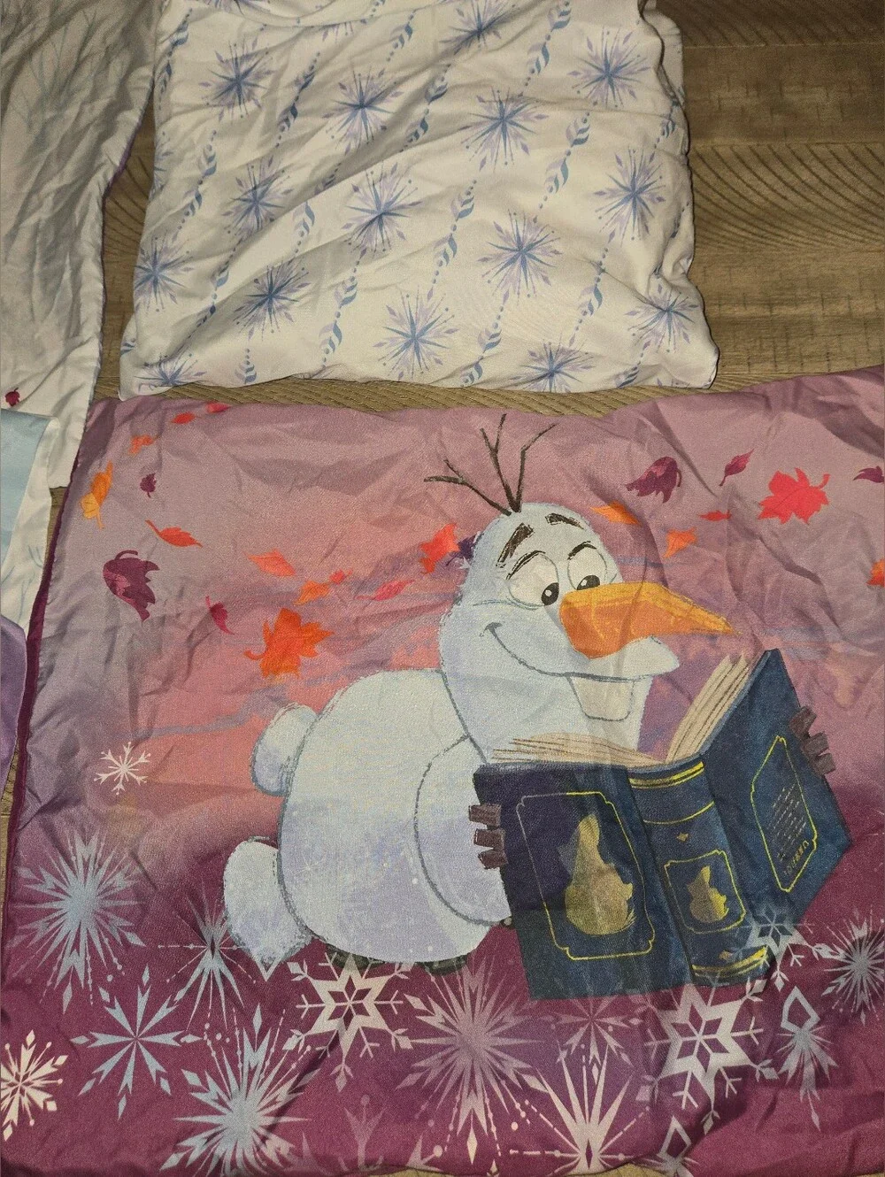 Frozen Full Size Sheet